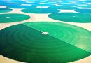 Agricultura no deserto: a Arábia Saudita usa água oculta
