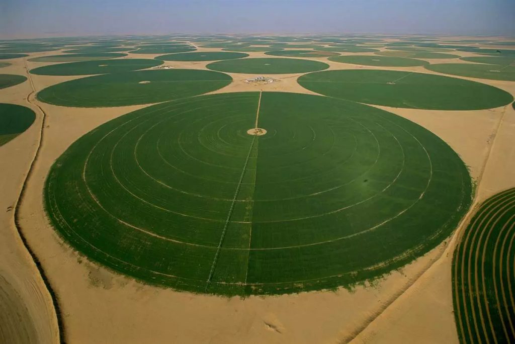 Arábia Saudita agricultura no deserto