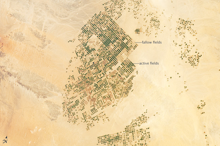 Arábia Saudita agricultura no deserto