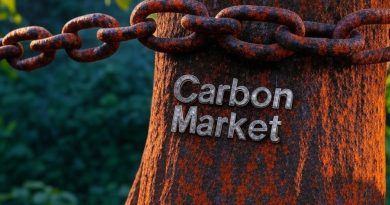 Mercado de Carbono na Amazônia: Solução Climática da COP30 ou Licença para Poluir às Custas da Região?